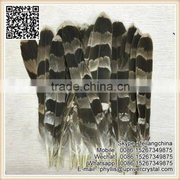 Bird Feather Big Eagle Tip Feather For Indian Headdress photo-2