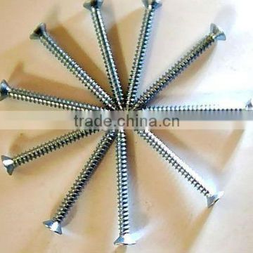 Stainless Steel Screws self tapping