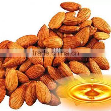 Bulk Sweet Almond Oil Factory Wholesale Almond CO2 Extraction Vegetable Oil Plant Oil For Healthcare