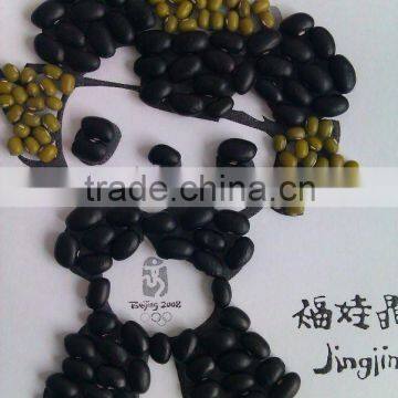 Black Kidney Bean/Black Turtle Bean( New crop, Heilongjiang origin, HPS)