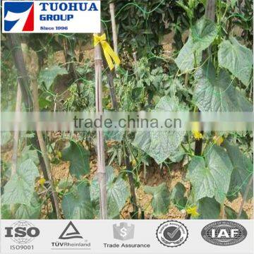 best quality black customed Plant Support Netting 8gsm For tomato , Flower Or Bean