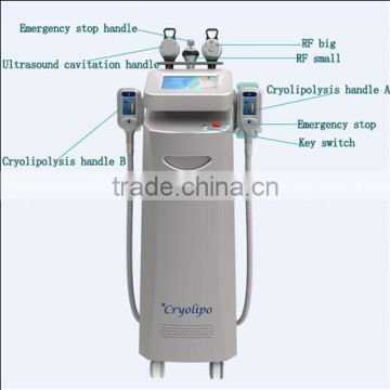 Lowest Temperature Cryolipolysis Fat Frozen Machine/cryolipolysis Weight Loss Slimming Machine With 10.4 Inch Touched Screen 50 / 60Hz