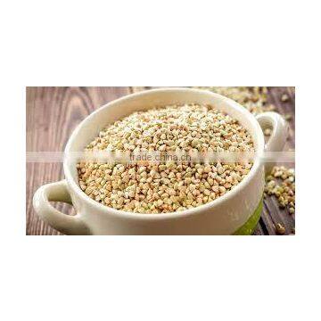 Unroasted Buckwheat Groat From Ukraine