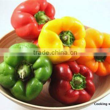 Fresh Bell Pepper- Capsicum With High Quality From Vietnam