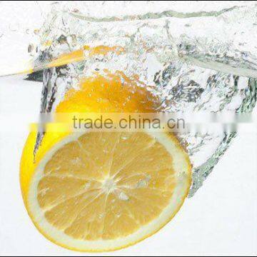 Summer Navel Orange Supplier/Manufacturer/Exporter