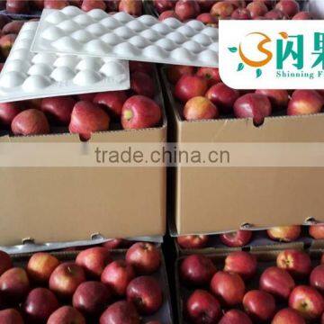 2015 Fresh Organic Huaniu Apple(china.shaanxi)