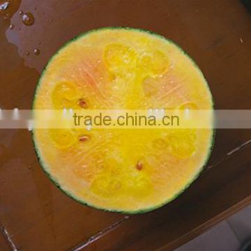 Hybrid F1 red yellow flesh rainbow melon treasure seeds High grade gift watermelon seeds for planting