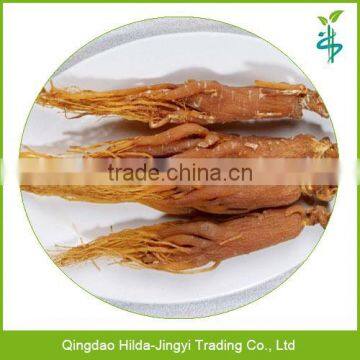 Hot sale china wholesale red ginseng root