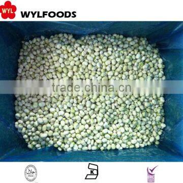 Price for Frozen Baby Broad Beans photo-6