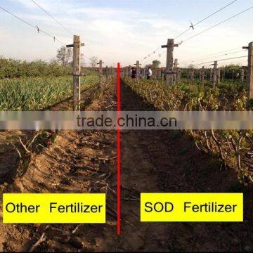 Compound NPK Fertilizer With SOD For Fruit Trees And Vegetables photo-3