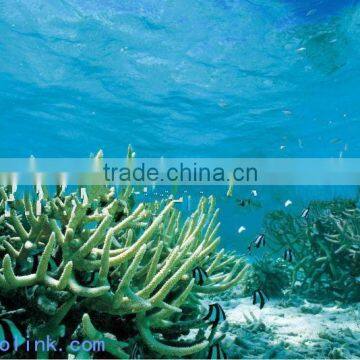 Humic Acid+Amino Acid Granular photo-5