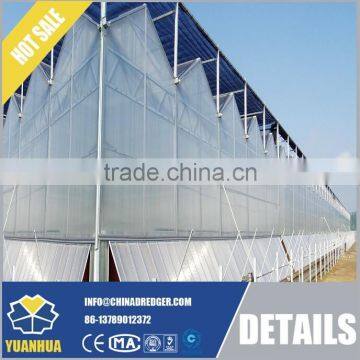 Venlo Type Glass Greenhouse for Vegetable and Flowers Growing photo-4