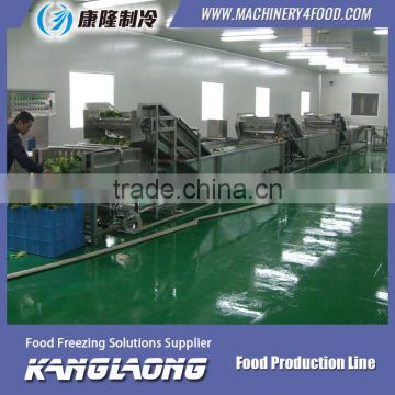 High Quality onion pre-treatment machines