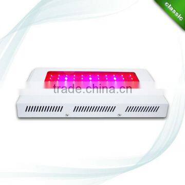 240W Hydroponics LED Grow Light/LED Grow Lighting/Grow light LED