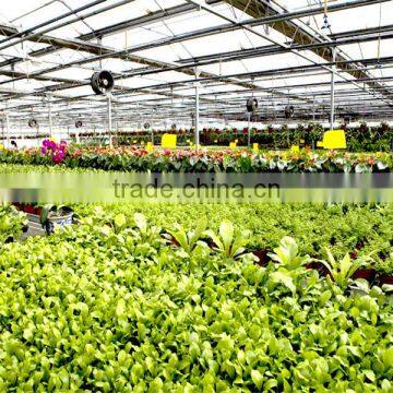 PC Board Covering Large Greenhouse With High Light Transmission photo-3