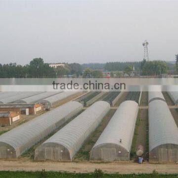 New Style Single Span Tunnel Greenhouse for Sale photo-2