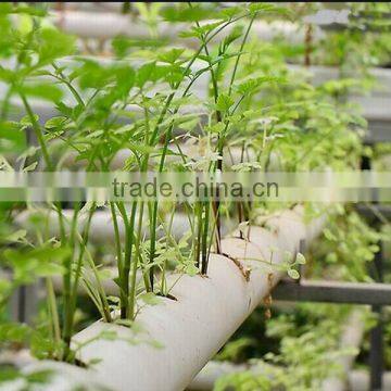 HDPE LDPE Irrigation Pipe photo-2