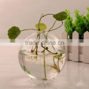 Ball Shaped Hydroponics Container Round Transparent Glass Vase for Plant photo-2
