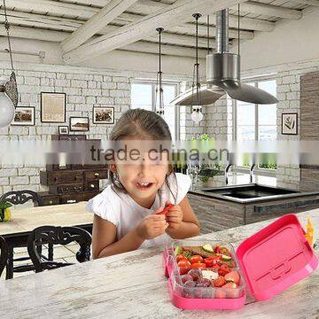 China Cheap Custom Hot Case Plastic Compartment School Lunch Box 2016 photo-5