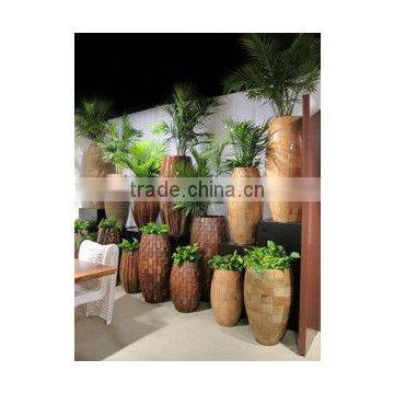 Abaca Planters photo-5