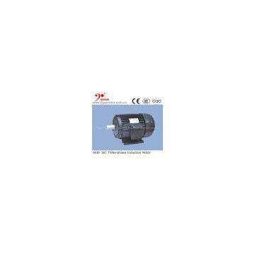 AEEFseries IEC standard asynchronous ac traction and torque motor