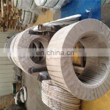 Extra Hard Stainless Steel 301 Strip photo-6