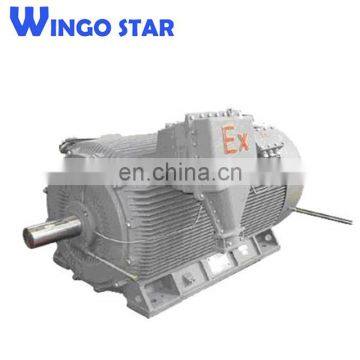 YB2 Explosion Proof Electric Motor photo-3