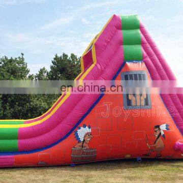 Commercial Dry Slides Pink Apache Inflatable Slide For Kids photo-2