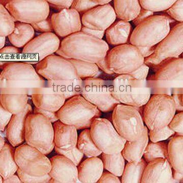 sell cheap peanut kernel