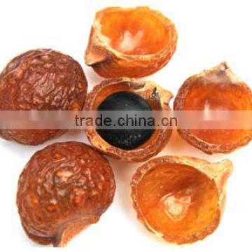 Premium Grade Soapnut Shell For Bulk Suppliers