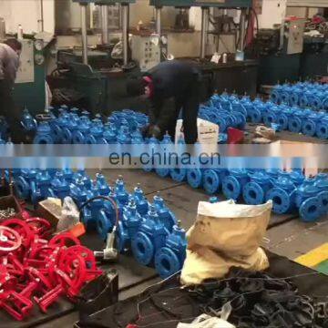 China GGG50 ductile iron rubber flap check valve rubber clack check valve