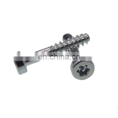 stainless steel A2 security/anti-theft self tapping screws in China