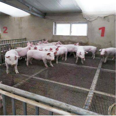 Pig Calico Net2cm*5cmsteel Wire Mesh For Manure Leakage In Aquaculturewear Resistance