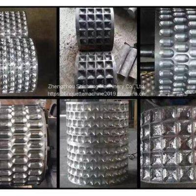 Custom Shape Briquette Press Supplier in Germany photo-4