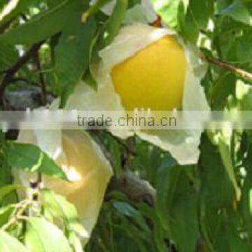 2 Layers Fruit Protection Pear Bag for Growing photo-4