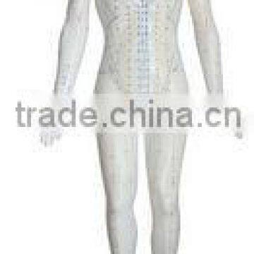 178cm Female Acupuncture Model