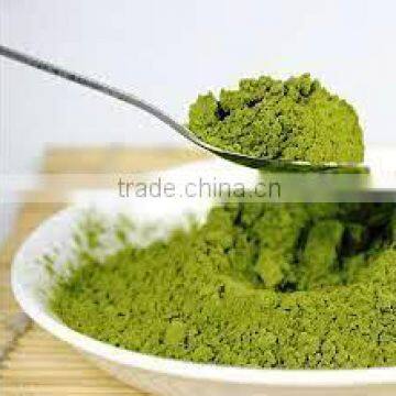 Healthy & Organic Mulberry Leaf Powder Producers