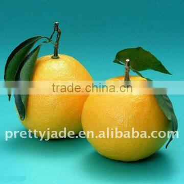 Fresh honey pomelo exporter from China