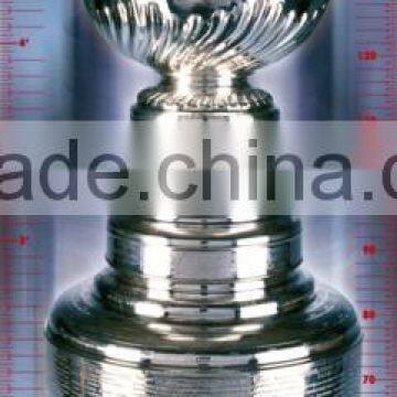 Advertising Banner ( Advertising Flags)