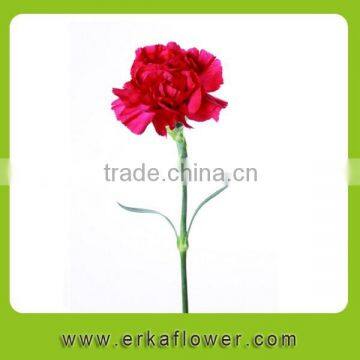 Fresh Cut high quality carnation varieties High Quality Flower