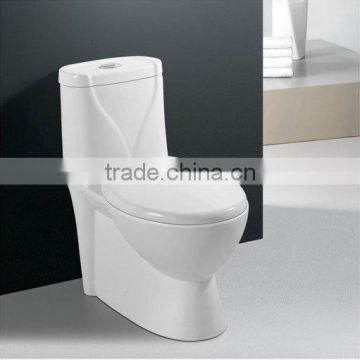 Washdown One-piece Toilet