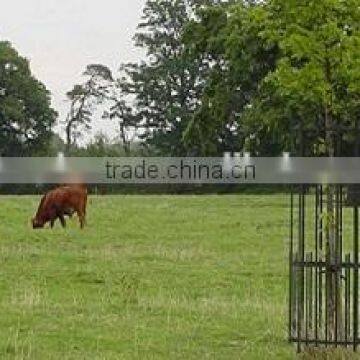 2016 European New Style Meatl Iron Tree Guards photo-5