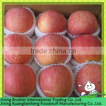 red star apple fruit from origin