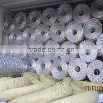 Hot Dipped Galvanized Welded Wire Mesh For Farm Fencing photo-6