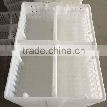 plastic chicks cage