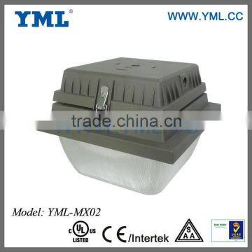 80W Gas Canopy Induction Lamp