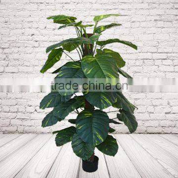 Durable Artificial Dieffenbachia Evergreen Bonsai