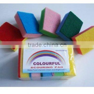 grip scourer with sponge