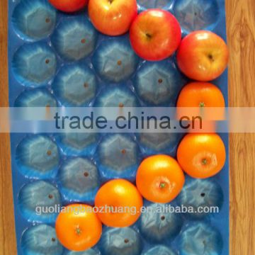 Fresh Produce Packaging Tray