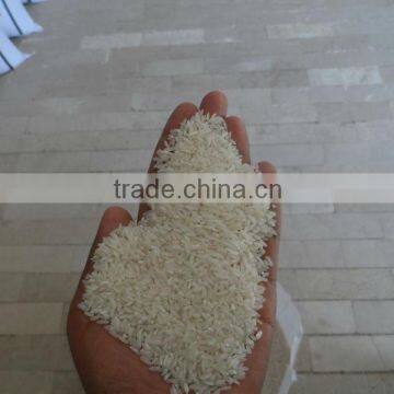 RICE FOR SINGAPORE / INDONASIA